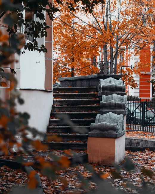 A set of stone steps leading from a pavement up to a house entrance in Enfield, during autumn with orange and brown fallen leaves scattered on the ground. The steps are partially covered with protective blankets, likely padding for furniture during move preparations. To the right, a black metal gate and parked vehicle are visible, indicating a driveway access point. In the background, vibrant orange-leaved trees and residential buildings can be seen, suggesting an urban or suburban neighbourhood setting. The scene appears to be part of a house removal process, with boxes and packing materials possibly nearby, in a well-lit environment reflecting daytime. This outdoor setting showcases the typical logistics involved in home relocation, including stair and driveway access, with [COMPANY_NAME] experienced in furniture transport and packing for house moves.